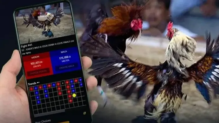 Đá Gà Jun88 Cháy Hết Mình Cùng Đam Mê Kê Thủ Bất Diệt